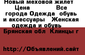 Новый меховой жилет › Цена ­ 14 000 - Все города Одежда, обувь и аксессуары » Женская одежда и обувь   . Брянская обл.,Клинцы г.